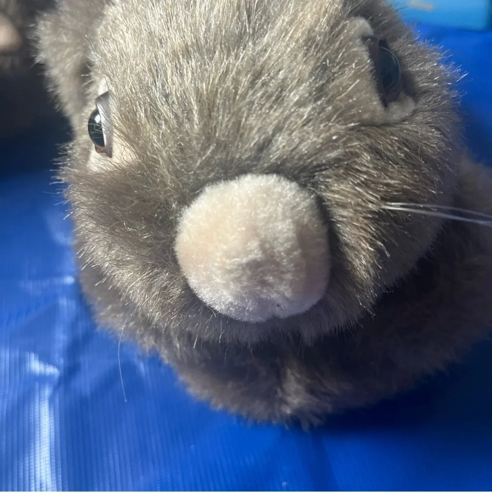 Peter Rabbit gray Slippers - Picture 7 of 13